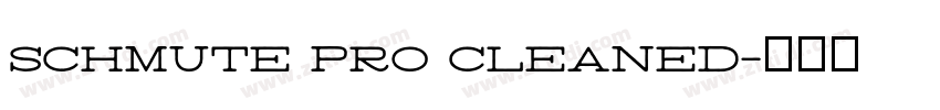 schmute pro cleaned字体转换